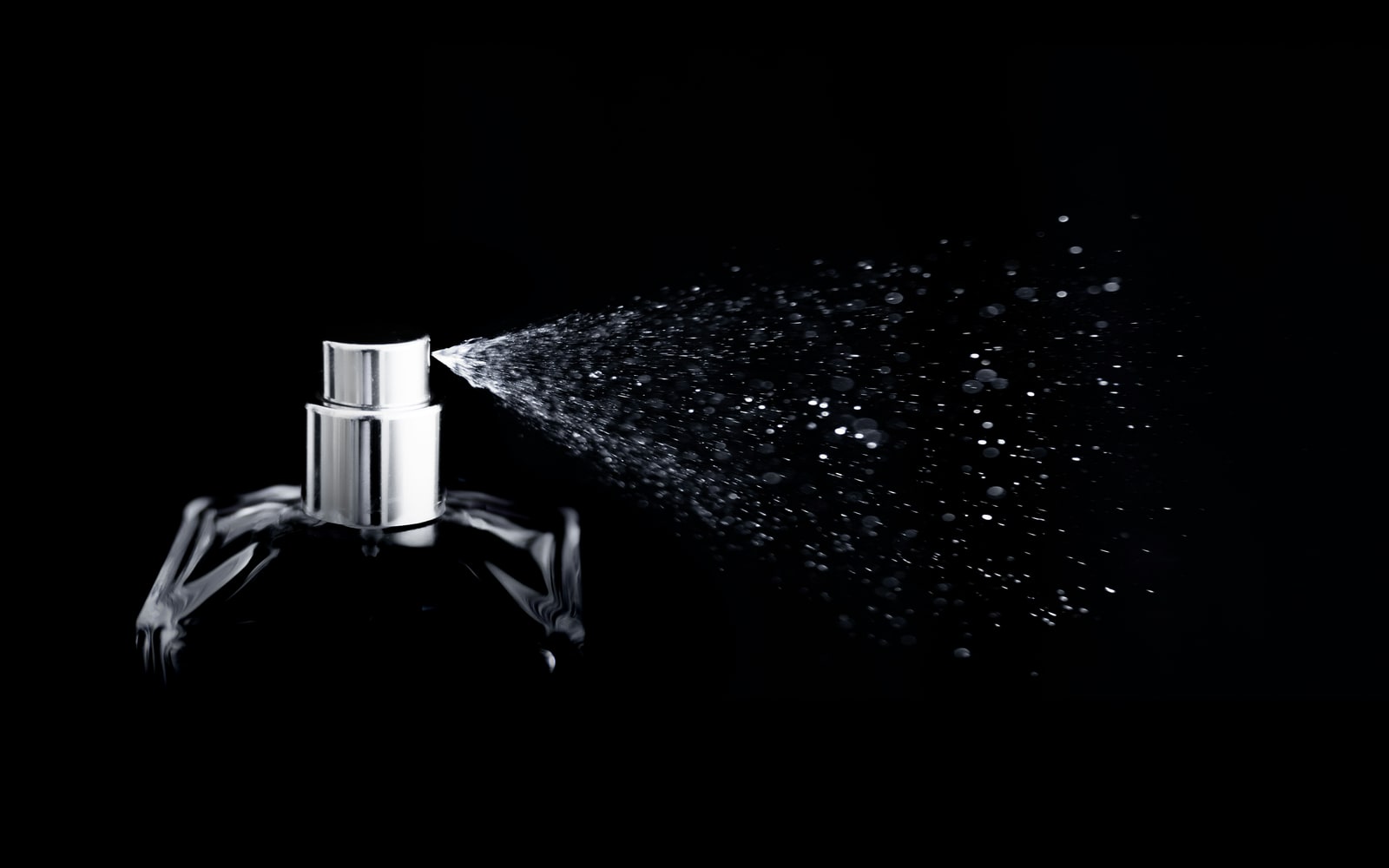 스킨케어 다음은 향 K-뷰티는 이제 기능이 아니라 취향을 수출한다